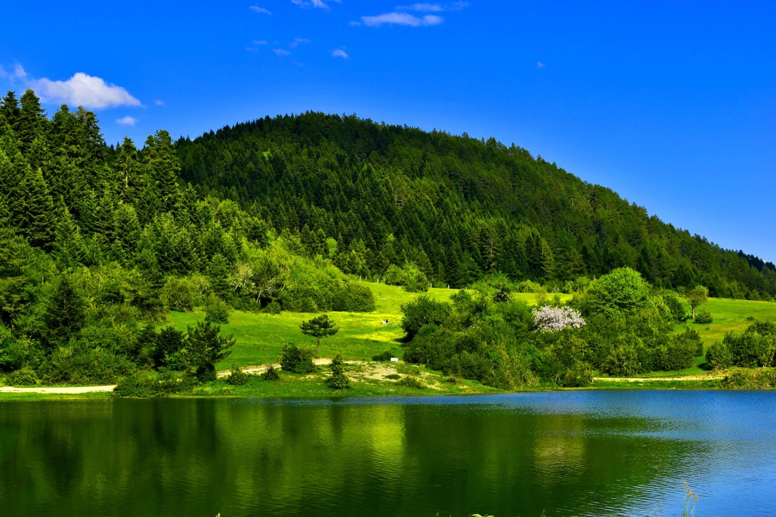 Environmental Protection