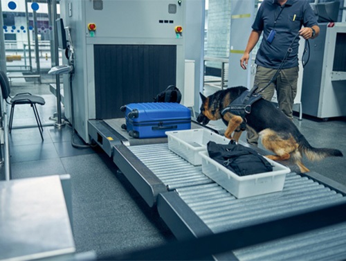 Baggage CBRNE Security Inspection